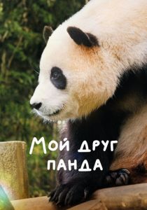 Мой друг панда 2024 Фильм