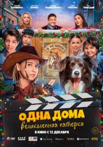 Одна дома: Великолепная пятерка 2024 Фильм