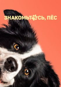 Знакомьтесь, пёс 2022 Фильм