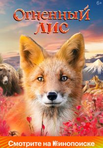 Огненный лис 2024 Фильм