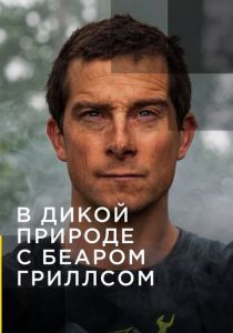 В дикой природе с Беаром Гриллсом 2014 Сериал
